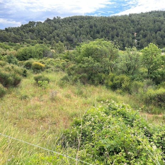  11-34 IMMOBILIER : Terrain | BIZE-MINERVOIS (11120) | 0 m2 | 9 000 € 