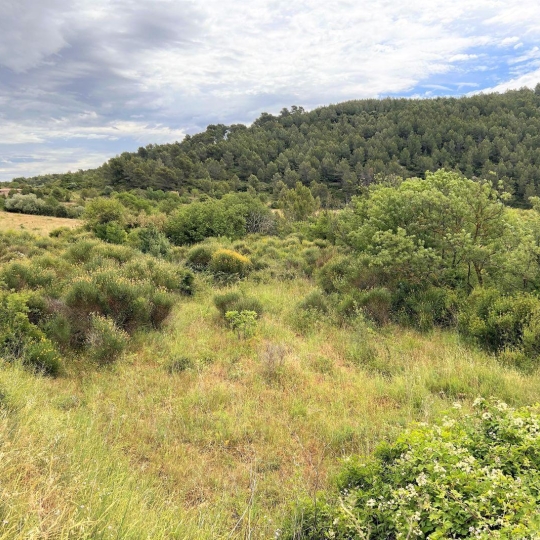  11-34 IMMOBILIER : Terrain | BIZE-MINERVOIS (11120) | 0 m2 | 9 000 € 