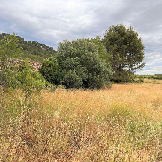  11-34 IMMOBILIER : Terrain | BIZE-MINERVOIS (11120) | 0 m2 | 9 000 € 