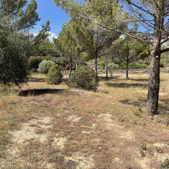  11-34 IMMOBILIER : Terrain | AZILLANET (34210) | 0 m2 | 69 000 € 