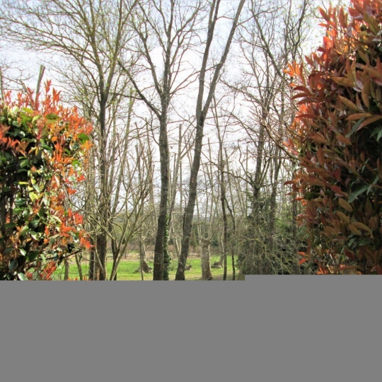  11-34 IMMOBILIER : Apartment | OLONZAC (34210) | 44 m2 | 39 000 € 