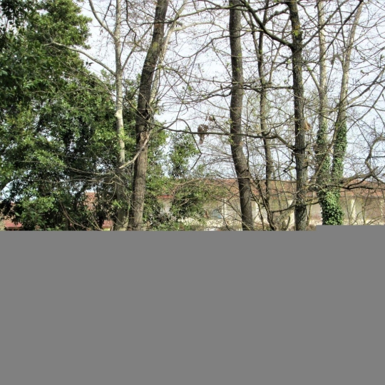  11-34 IMMOBILIER : Apartment | OLONZAC (34210) | 44 m2 | 39 000 € 