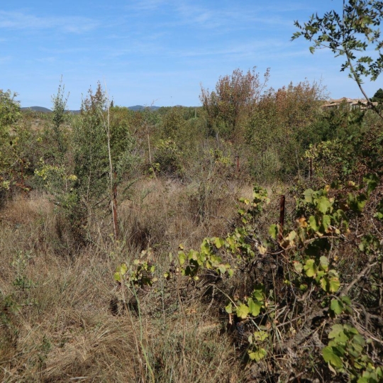  11-34 IMMOBILIER : Terrain | LA LIVINIERE (34210) | 0 m2 | 69 000 € 