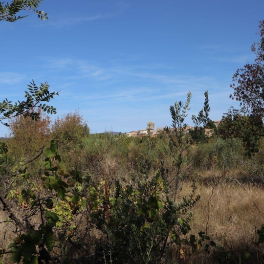  11-34 IMMOBILIER : Terrain | LA LIVINIERE (34210) | 0 m2 | 69 000 € 