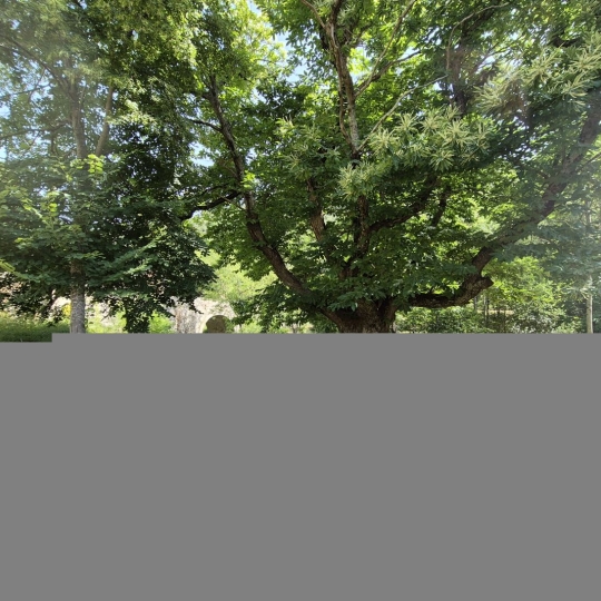  11-34 IMMOBILIER : House | BOISSET (34220) | 40 m2 | 45 000 € 