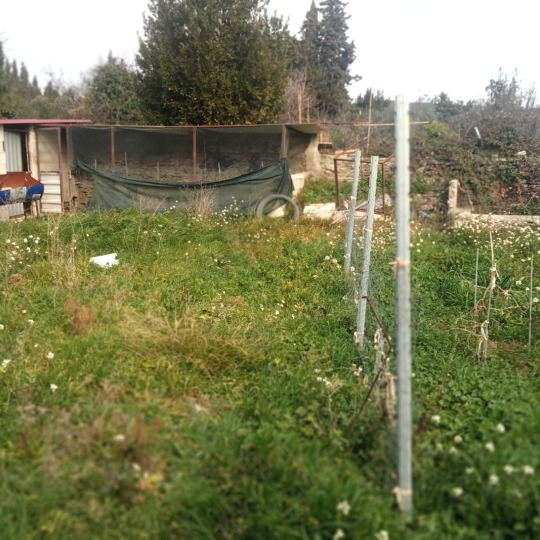  11-34 IMMOBILIER : Maison / Villa | SIRAN (34210) | 165 m2 | 99 000 € 