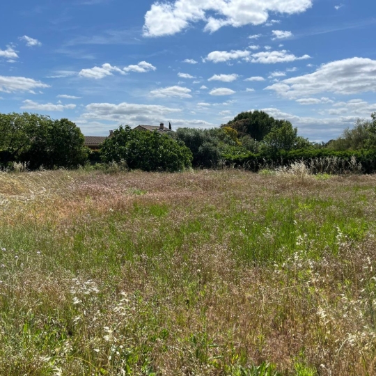  11-34 IMMOBILIER : Terrain | SIRAN (34210) | 0 m2 | 81 000 € 