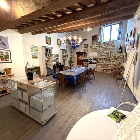  11-34 IMMOBILIER : Domaines / Propriétés | LA LIVINIERE (34210) | 270 m2 | 792 000 € 