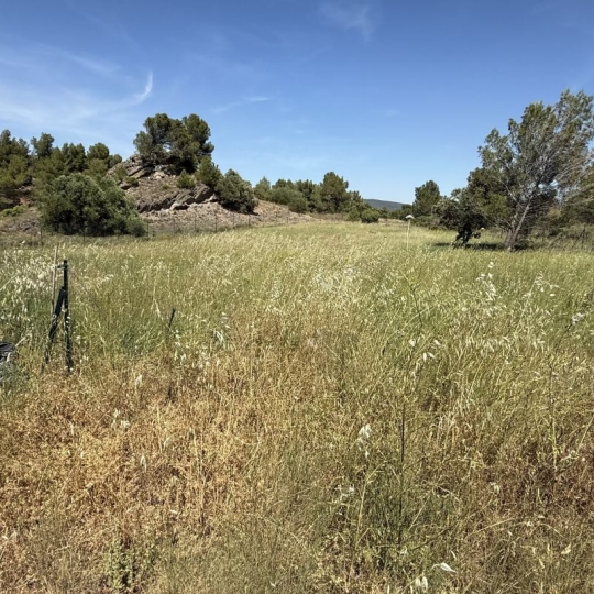  11-34 IMMOBILIER : Terrain | TOUROUZELLE (11200) | 0 m2 | 20 000 &euro; 