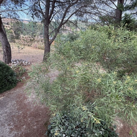  11-34 IMMOBILIER : House | FELINES-MINERVOIS (34210) | 74 m2 | 199 000 &euro; 
