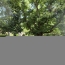  11-34 IMMOBILIER : House | BOISSET (34220) | 40 m2 | 45 000 € 
