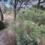  11-34 IMMOBILIER : House | FELINES-MINERVOIS (34210) | 74 m2 | 199 000 &euro; 