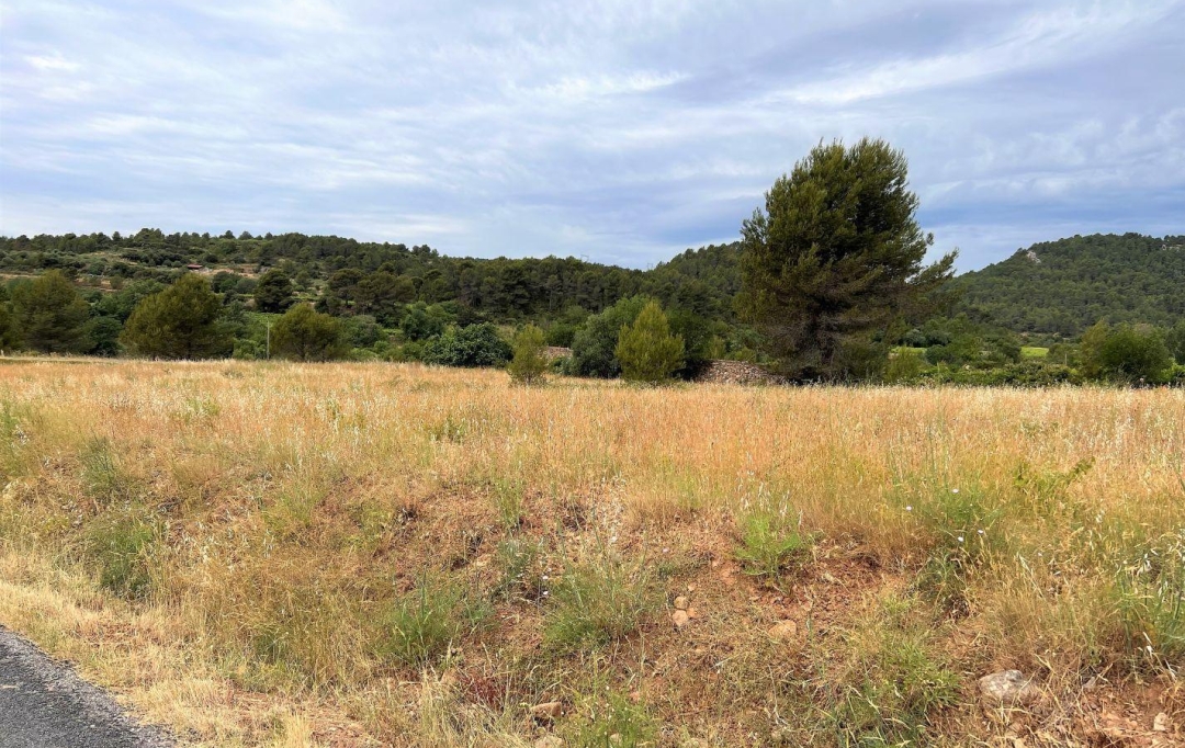 11-34 IMMOBILIER : Ground | BIZE-MINERVOIS (11120) | 0 m2 | 9 000 € 