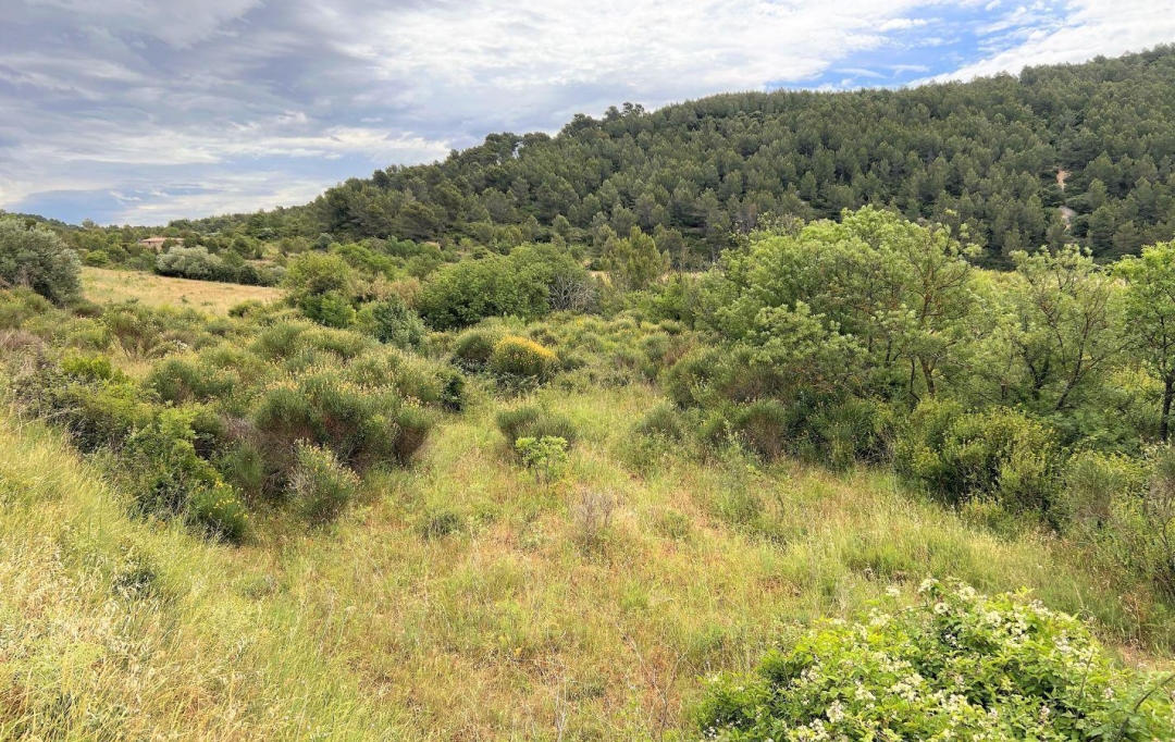 11-34 IMMOBILIER : Terrain | BIZE-MINERVOIS (11120) | 0 m2 | 9 000 € 