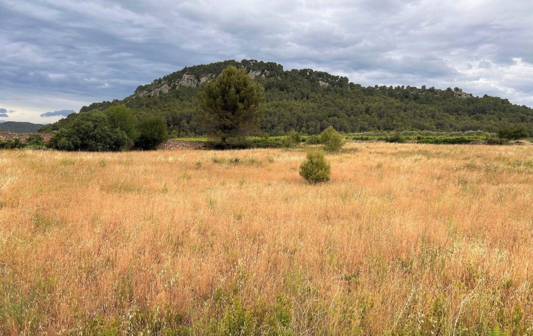 11-34 IMMOBILIER : Ground | BIZE-MINERVOIS (11120) | 0 m2 | 9 000 € 