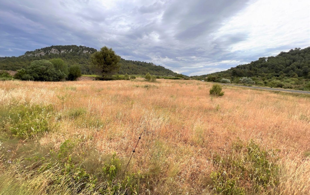 11-34 IMMOBILIER : Terrain | BIZE-MINERVOIS (11120) | 0 m2 | 9 000 € 