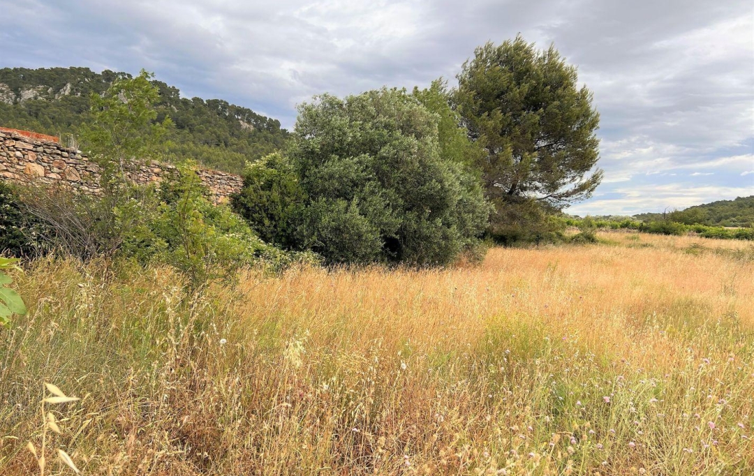 11-34 IMMOBILIER : Terrain | BIZE-MINERVOIS (11120) | 0 m2 | 9 000 € 