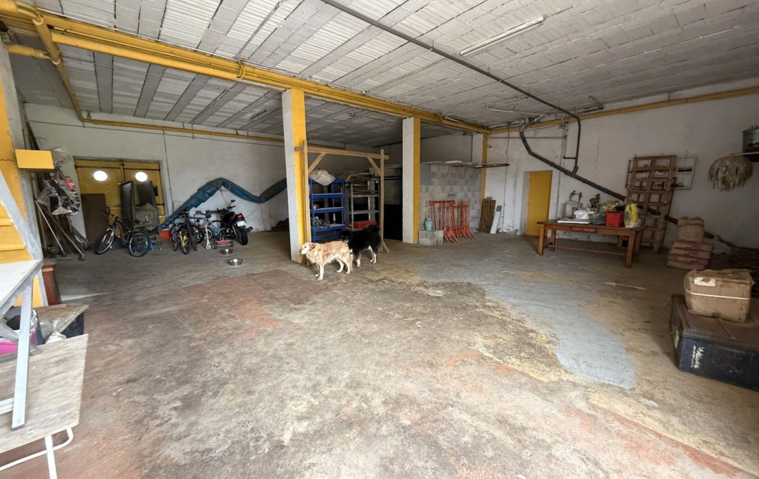 11-34 IMMOBILIER : House | OLONZAC (34210) | 291 m2 | 435 000 € 