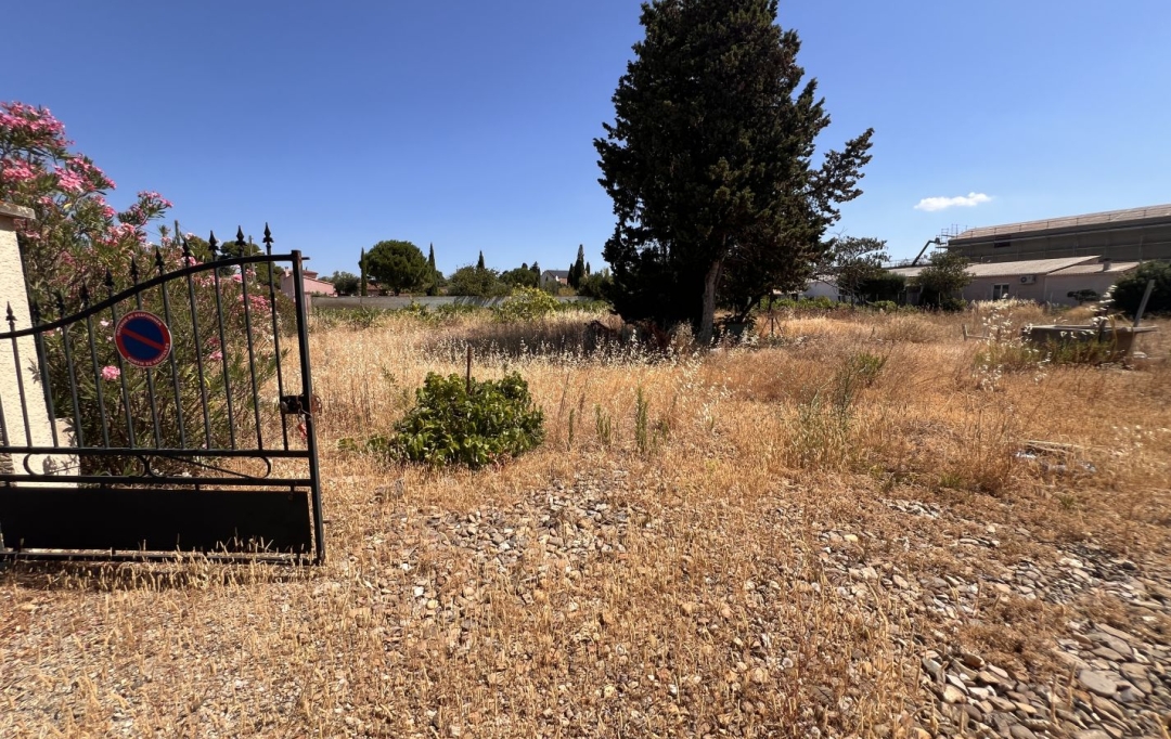 11-34 IMMOBILIER : Terrain | ARGELIERS (11120) | 0 m2 | 89 000 &euro; 