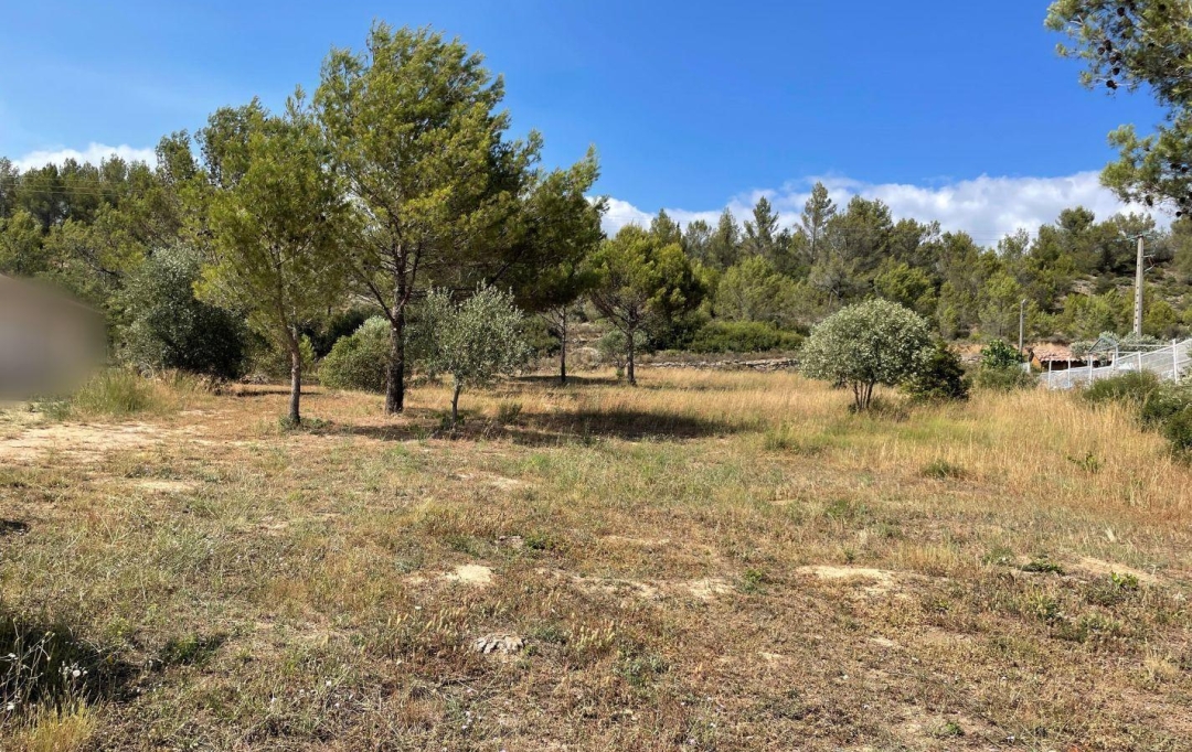 11-34 IMMOBILIER : Terrain | AZILLANET (34210) | 0 m2 | 69 000 € 