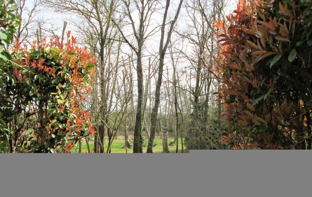 11-34 IMMOBILIER : Apartment | OLONZAC (34210) | 44 m2 | 39 000 € 
