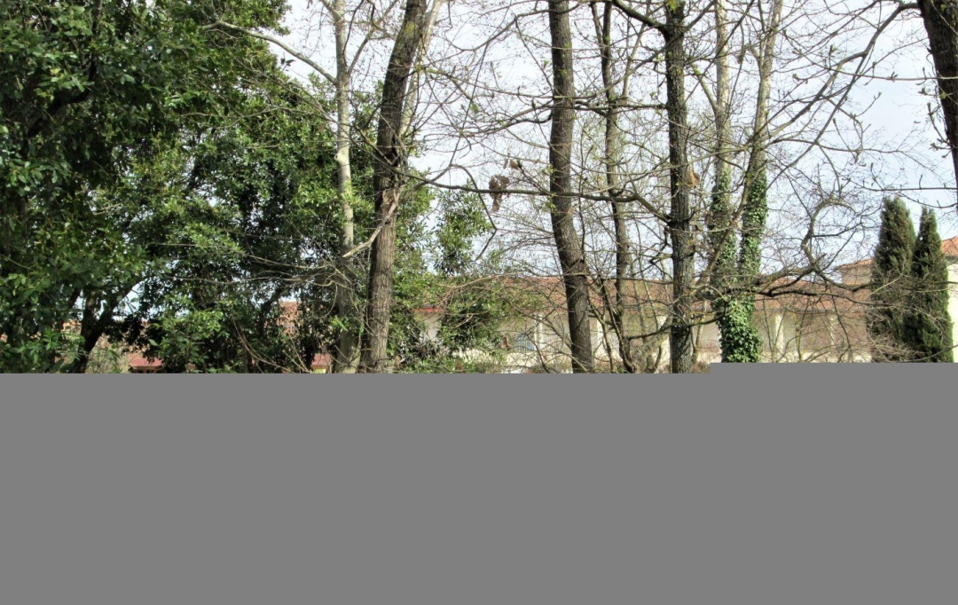11-34 IMMOBILIER : Apartment | OLONZAC (34210) | 44 m2 | 39 000 € 