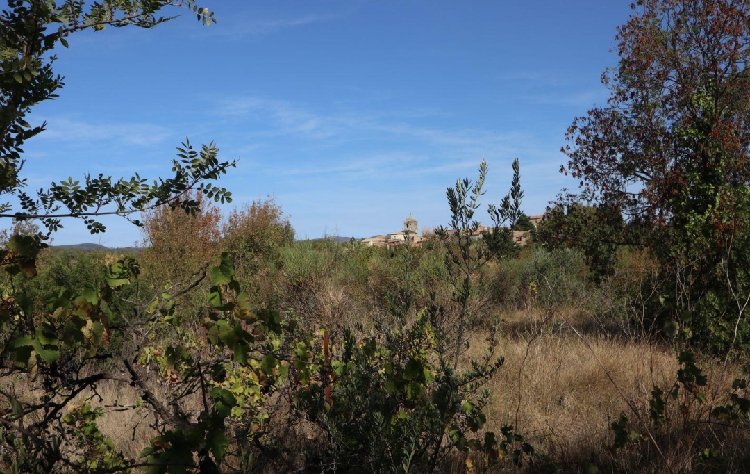 11-34 IMMOBILIER : Terrain | LA LIVINIERE (34210) | 0 m2 | 69 000 € 