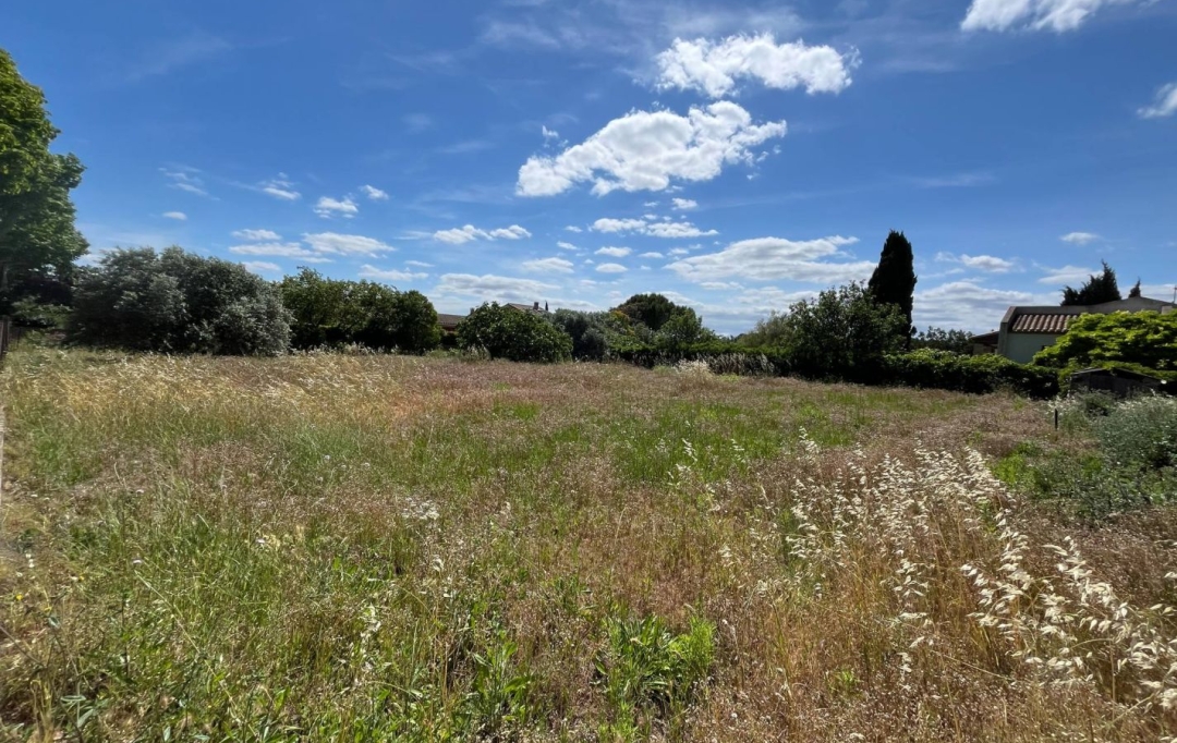 11-34 IMMOBILIER : Terrain | SIRAN (34210) | 0 m2 | 81 000 € 