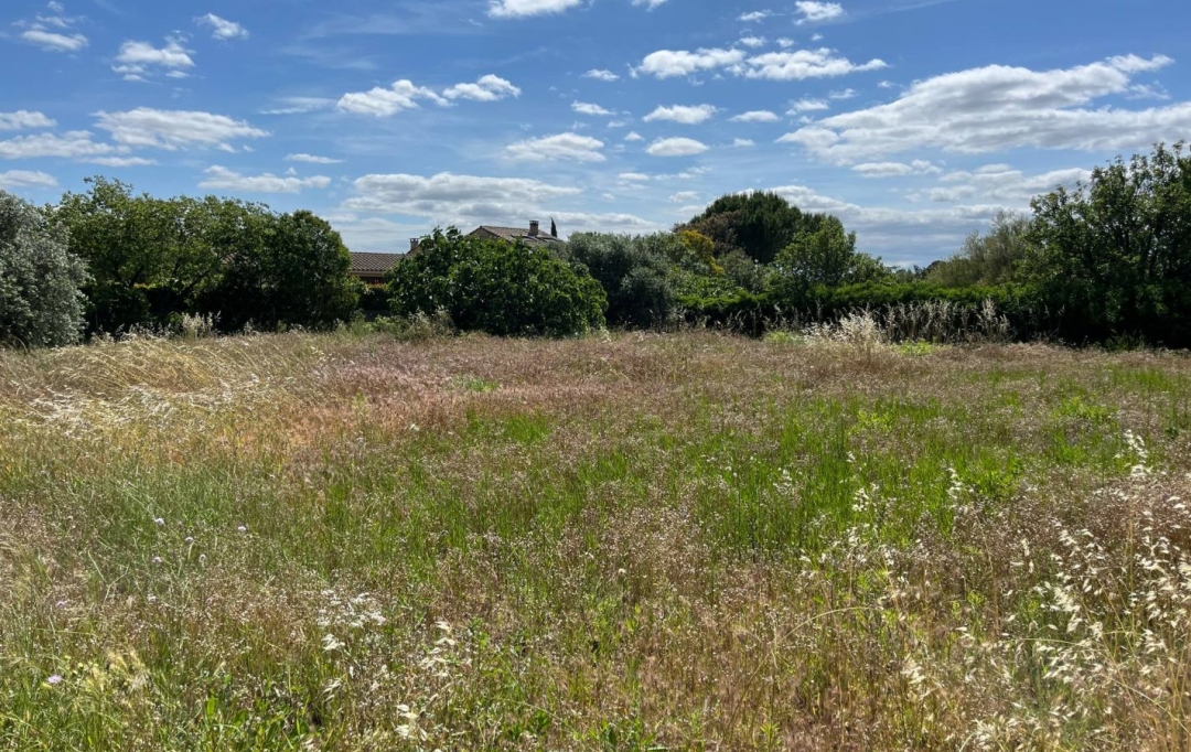 11-34 IMMOBILIER : Terrain | SIRAN (34210) | 0 m2 | 81 000 € 