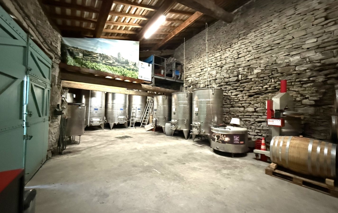 11-34 IMMOBILIER : Domaines / Propriétés | LA LIVINIERE (34210) | 270 m2 | 792 000 € 