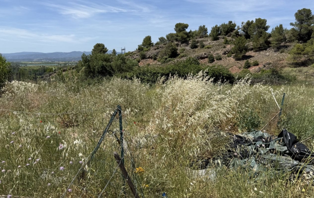 11-34 IMMOBILIER : Terrain | TOUROUZELLE (11200) | 0 m2 | 20 000 &euro; 