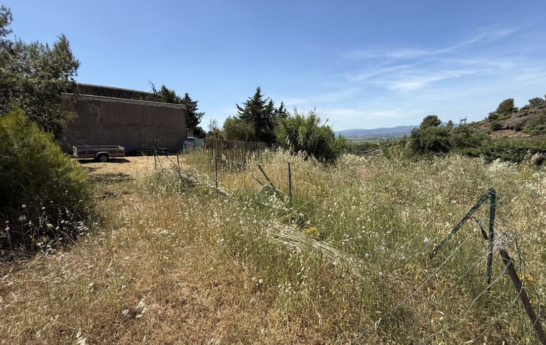 11-34 IMMOBILIER : Terrain | TOUROUZELLE (11200) | 0 m2 | 20 000 &euro; 