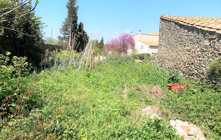 11-34 IMMOBILIER : Garage / Parking | PARAZA (11200) | 58 m2 | 66 000 € 