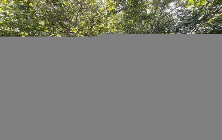 Maison   CASSAGNOLES  178 m2 107 000 € 